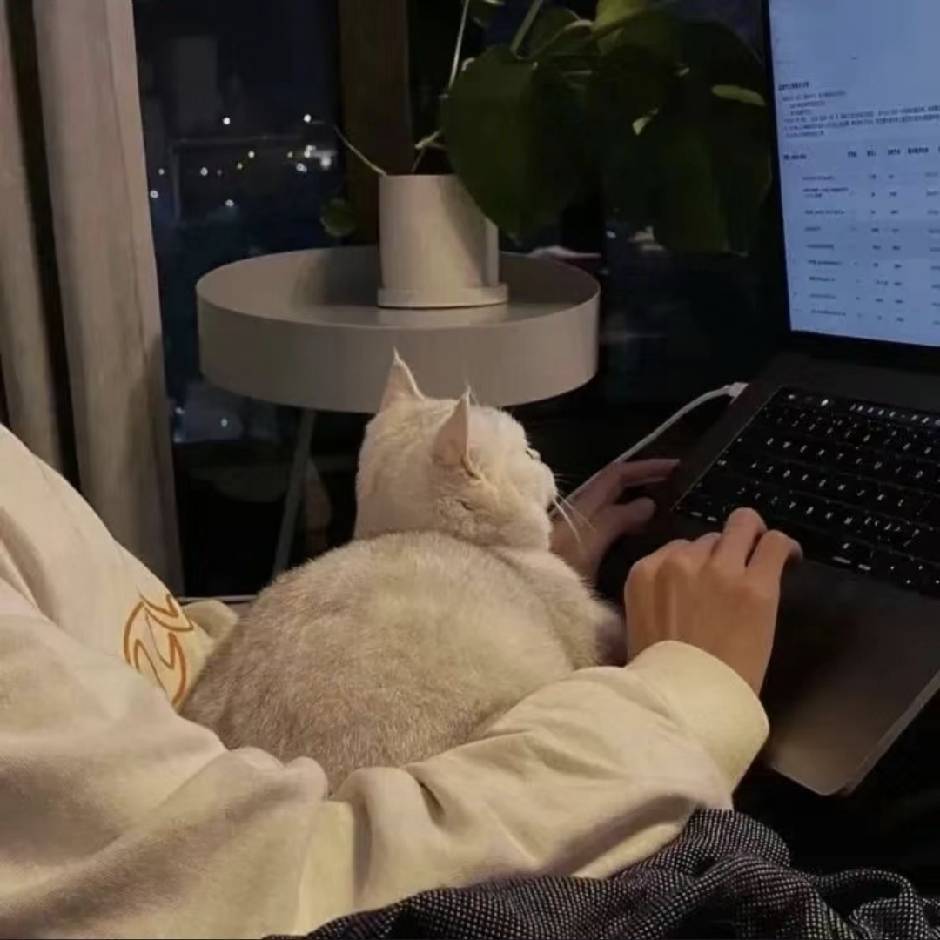 博主与猫咪的照片